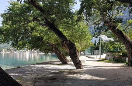 Apartmants villa Lungo Mare - Photo 71