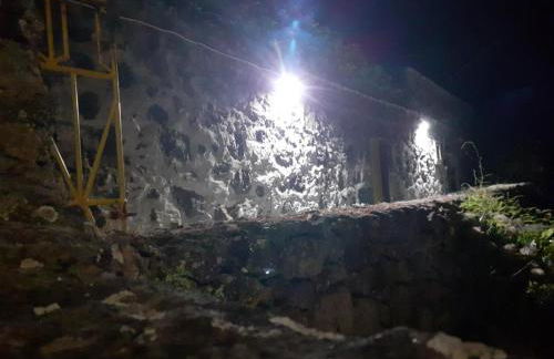 O Pomar do Gasparinho - Foto 20