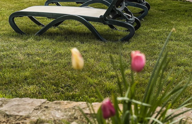 Agriturismo Cupido - Photo 34