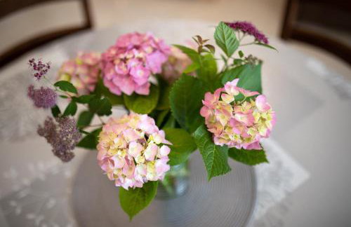 Apartments Dujmović Ivo 2 - Foto 38