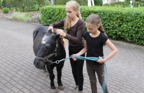 Holiday Home in Germany With Terrace - Foto 22