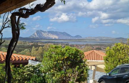 Villa Sa Mama - Foto 16