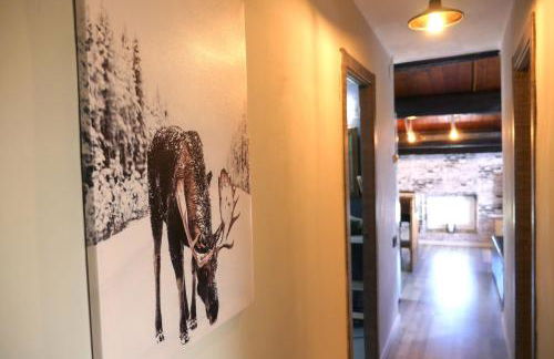 Greta, apartament cèntric i amb encant - Foto 3