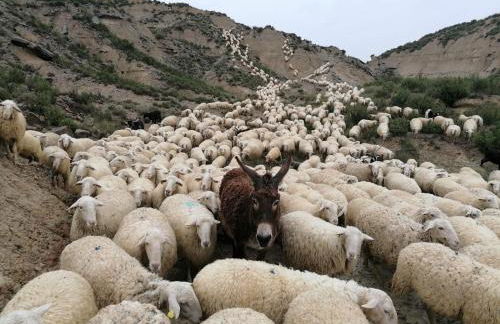 Apartamento El Estrecho de Arguedas - Foto 22