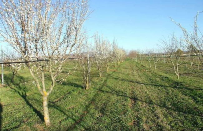 Agriturismo il Marrugio - Foto 35