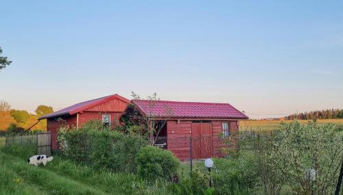 1 Bedroom Stunning Home In Rekowo - Foto 4