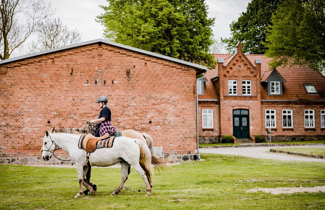 Landurlaub in Lubberstorf - Foto 23