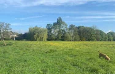 Elmcroft, Large House with Shepherds Hut - Foto 57