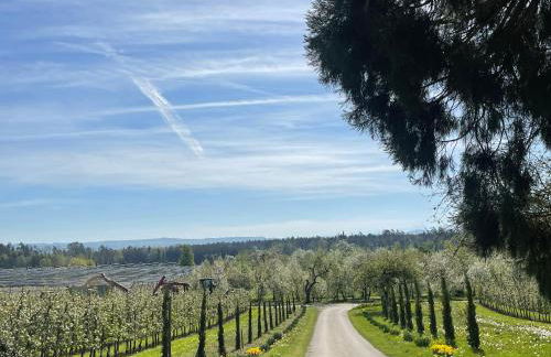 Hofgut Bergchalet Mirabell - Natururlaub am Bodensee - Foto 47