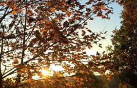 Agroturystyka Ulima - Foto 35