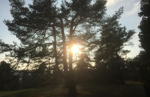 Ferienwohnung Kuckuck auf dem Sommerberg incl Schwarzwald Plus-Karte - 2 Zimmer 50qm - Foto 51