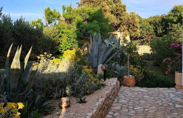 Villa Cesarica Novalja - Photo 30