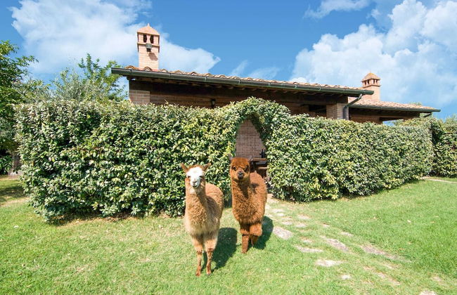 Holiday Home in Castiglione del With Pool - Foto 71