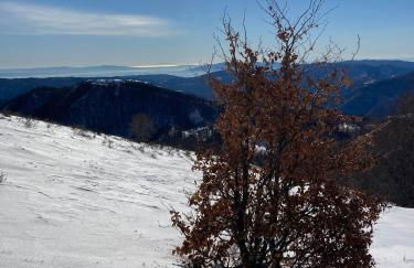 Casa Sperandini - Foto 47