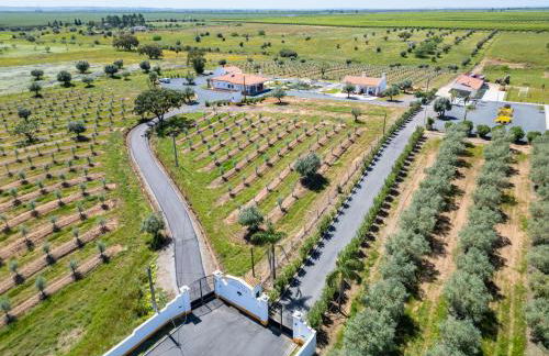 Herdade Monte Do Vale - Foto 19