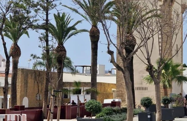 Smart Conil los Bateles 28584 - Photo 16