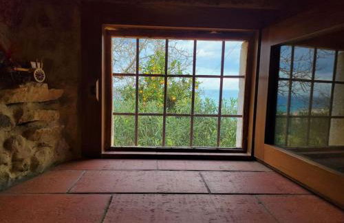 Appartamento Origano - Foto 5