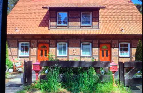 Welsh Dragon - Foto 40