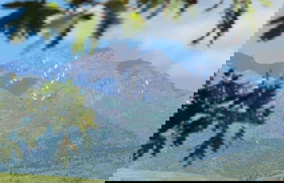 Oasis Sun Club - Foto 21