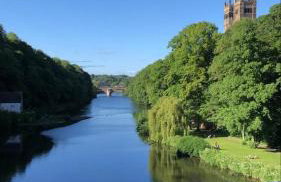 Riding Farm Cottages - Foto 76