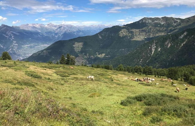 Apartment Near the Ski Lifts - Foto 9