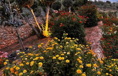 Physis Villas Chania - Foto 26