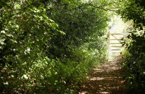 Unconformity Barn - Foto 21