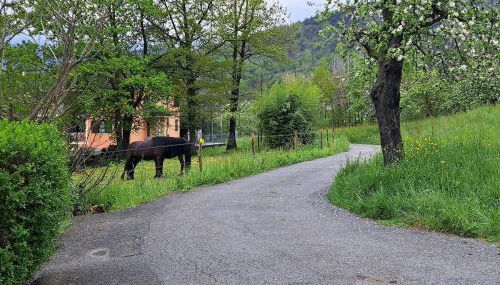 Passione Peonie Apartment - Foto 5