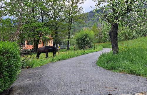 Passione Peonie Apartment - Foto 5