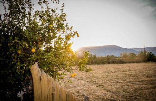 Boem Villa in Nafpliο - Foto 46