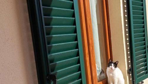 Casa di zio - Foto 5