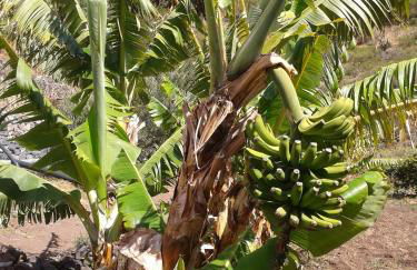 Casa Rural La Tinta - Foto 21