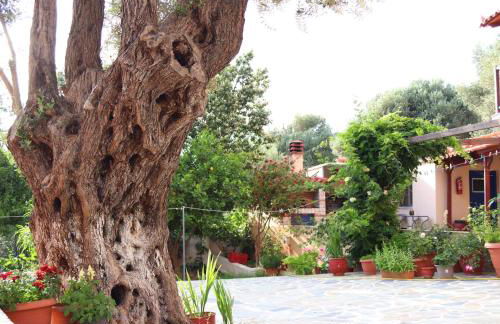 Panorama Apartments - Foto 21