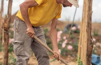 Mastrojanni Relais - Foto 65