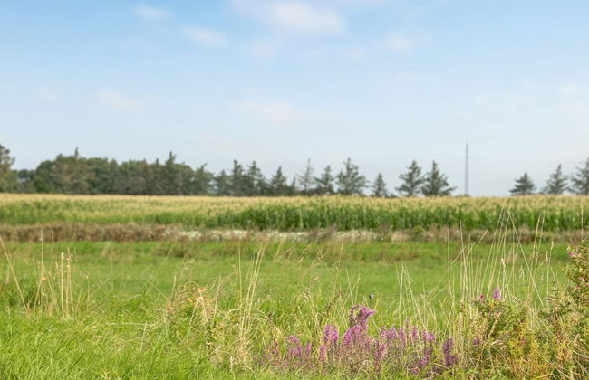 "Ewelina" - 15km from the sea - Foto 7