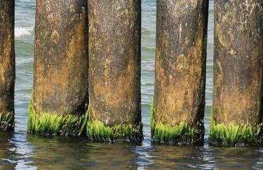 Niebieski Domek - Foto 43