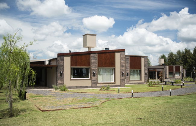 Olivos de Monte - Foto 57