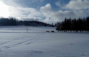 Agroturystyka Jak Makiem Zasiał Dworki 10 - Foto 60