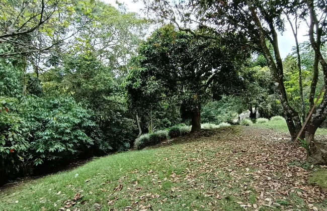 Parque de la Vida Free Tour - Photo 7