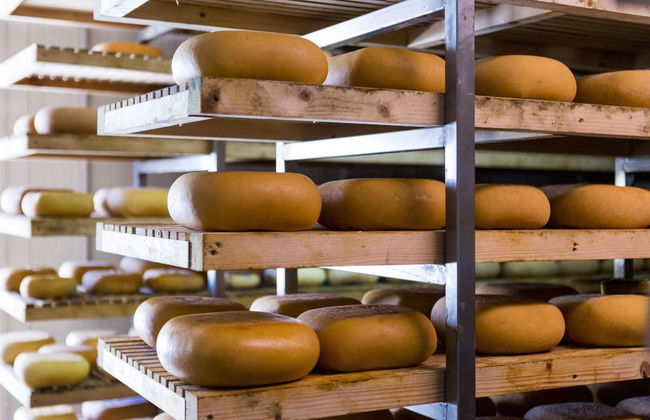 Agroturismo Son Vives Menorca - Adults Only - Foto 145