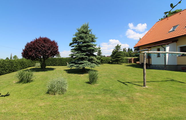 Rokytnice v Orlických horách - Foto 29