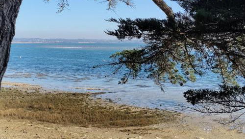 La Pépite de l'océan - Foto 4