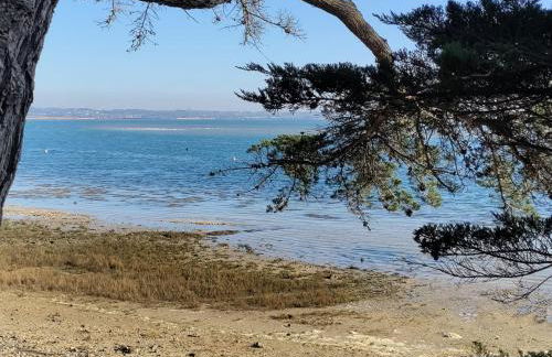 La Pépite de l'océan - Foto 4