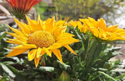 Casa Marilyn - Foto 33