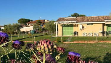 Il giardino di nunzia - Foto 4