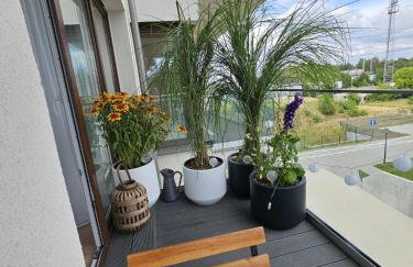 Czarny Słoń - elegancki apartament z klimatem - Photo 38