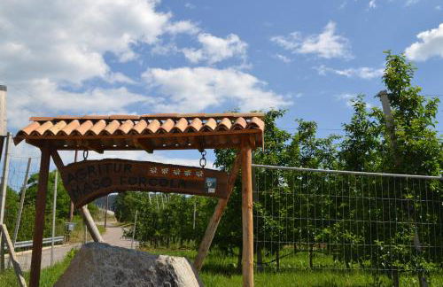 Agritur Maso Forcola - Photo 24