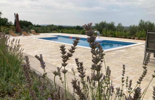 VILLA DOCI - Photo 31