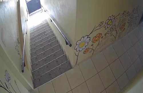 Margarida AP 2 - Foto 12