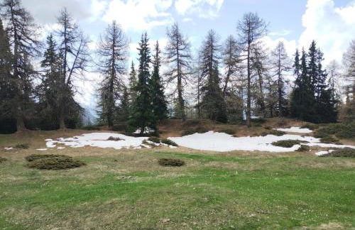 Casa per vacanze degli gnomi - Foto 55